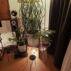 インダストリアルインテリア/間接照明/一人暮らし/シンプルモダン/植物のある部屋...などのインテリア実例 - 2022-10-18 19:15:11