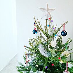 壁/天井/白い壁/北欧/もみの木/クリスマスツリー...などのインテリア実例 - 2015-12-17 22:22:21