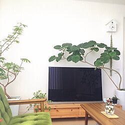 リビング/植物/雑貨/収納/吹き抜け...などのインテリア実例 - 2015-08-03 22:59:00