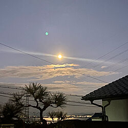 琵琶湖/松の木/お月さまこんばんは/みなさんの素敵なインテリアに癒されてます/いいね&コメントうれしいです♡︎...などのインテリア実例 - 2020-11-29 17:40:49