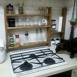 キッチン/DIY/猫のいる生活/ブライワックス ジャコビアン/100均のインテリア実例 - 2017-02-25 00:08:11