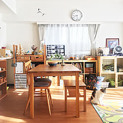 部屋全体/無印良品 テーブル/無印良品/ねこのいる風景/ねこのいる日常...などのインテリア実例 - 2017-11-13 08:15:30