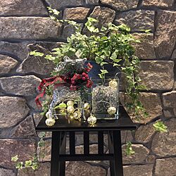 玄関/入り口/トヨタホーム東京/クリスマス/植物のある暮らし/観葉植物...などのインテリア実例 - 2016-12-22 13:27:55