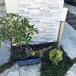 玄関/入り口/花のインテリア実例 - 2017-04-24 08:40:27