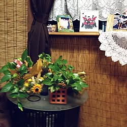 手作り/植物のインテリア実例 - 2014-05-02 20:29:17