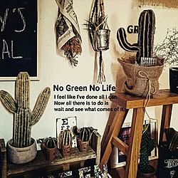 机/NO GREEN NO LIFE/植中毒/サボテン/セリア...などのインテリア実例 - 2017-02-16 20:05:41