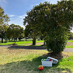 わが家の防災/イベント参加/玄関/入り口/公園遊び/春休み...などのインテリア実例 - 2023-03-25 19:40:52