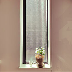 窓辺/観葉植物のインテリア実例 - 2022-03-27 10:17:30