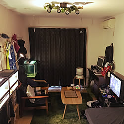 部屋全体/本棚/爬虫類のいる暮らし/爬虫類部屋/水槽のある部屋...などのインテリア実例 - 2018-10-20 16:57:19