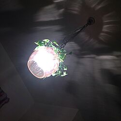 壁/天井/フェイクグリーン/ダイニング照明のインテリア実例 - 2013-12-25 20:40:29