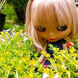 玄関/入り口/植物のある暮らし/かわいい♥︎/ガーデニング/癒やし空間...などのインテリア実例 - 2017-06-14 22:17:35