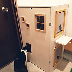玄関/入り口/DIY/猫/ホワイトインテリア/塗装DIY...などのインテリア実例 - 2020-03-08 19:57:18