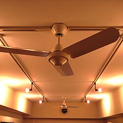 壁/天井のインテリア実例 - 2013-03-01 14:47:56