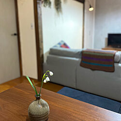 花壇/GREENのある暮らし/リビングのインテリア実例 - 2022-03-06 21:59:10