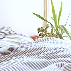 ベッド周り/IKEA/観葉植物/一人暮らしのインテリア実例 - 2015-10-23 10:14:03