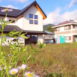 部屋全体/未来建築工房　山梨のインテリア実例 - 2017-01-23 20:20:42