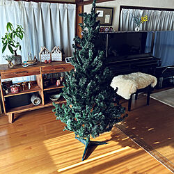 リビング/クリスマスツリー/クリスマスのインテリア実例 - 2023-12-10 10:17:20