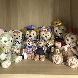 部屋全体/disney/Duffy/duffy&shelliemay/duffy♡...などのインテリア実例 - 2017-05-16 01:48:59