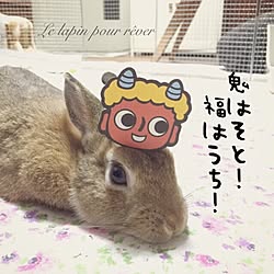 バス/トイレ/いいね、フォロー本当に感謝デス☺︎/したっけ連合/うさぎ部/うさぎ...などのインテリア実例 - 2016-02-03 02:24:26