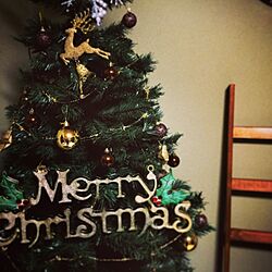 リビング/クリスマスツリー/ダイソー/ラダー/飾りはこれからのインテリア実例 - 2014-11-16 20:15:16