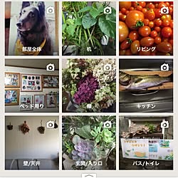 部屋全体/朝から/写真/多肉ちゃん/玄関...などのインテリア実例 - 2016-08-19 11:05:09