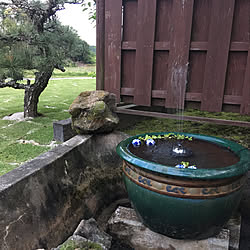 噴水/庭/芝のインテリア実例 - 2020-05-09 18:36:18