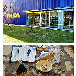 部屋全体/お買い物/戦利品♡/IKEA/ニトリのラグのインテリア実例 - 2017-11-01 15:36:30