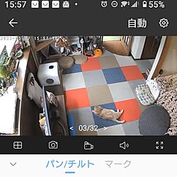 tp-link/ペットカメラ/実用的/ココちゃんとまるさんが確認出来ますのインテリア実例 - 2023-05-07 16:01:47