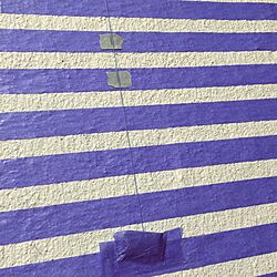 玄関/入り口/DIY/ペンキ/土間/ペンキ塗り...などのインテリア実例 - 2016-05-21 01:09:54