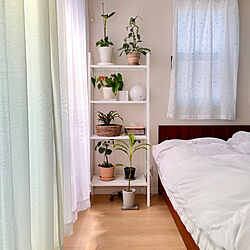 ベッド周り/ベッドルーム/観葉植物のある暮らし/レールベリ/IKEAの棚...などのインテリア実例 - 2024-03-16 12:59:58