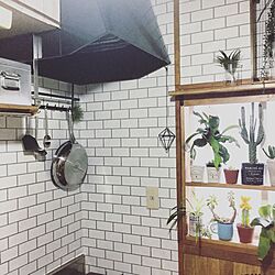 キッチン/サブウェイタイル風壁紙/植物棚/Instagram→yu_ki3359/instagramと同じpic...などのインテリア実例 - 2017-01-14 10:52:39