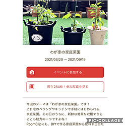 家庭菜園/庭/人工芝/ベッド周りのインテリア実例 - 2021-08-27 12:26:08