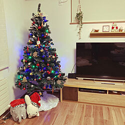 ニトリ/クリスマスツリー180cm/クリスマス/部屋全体のインテリア実例 - 2022-11-12 17:31:52