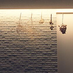 壁/天井/ドライフラワー/照明/エコカラットのインテリア実例 - 2015-10-21 06:15:30
