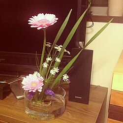 棚/お花のインテリア実例 - 2014-02-06 22:44:01