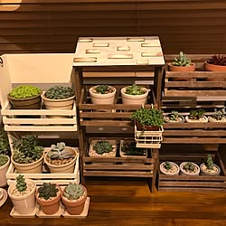 棚/100均/ミルクペイント/ハンドメイド/多肉植物...などのインテリア実例 - 2017-07-04 23:58:19