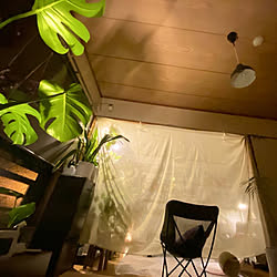 南国風/観葉植物/マンション暮らし/深夜の部屋/照明...などのインテリア実例 - 2022-08-27 16:46:06