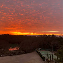 朝焼けの空のインテリア実例 - 2019-01-10 22:18:34