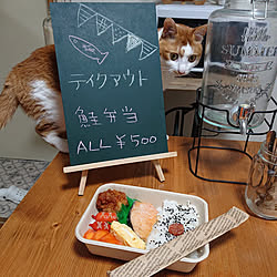 キッチン/ねこのいる日常/ねこと暮らす/カフェごっこ♬/賃貸でも楽しく♪...などのインテリア実例 - 2021-08-08 19:09:40