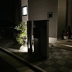 玄関/入り口/シマトネリコ/シンボルツリー/照明のインテリア実例 - 2016-11-30 21:26:57