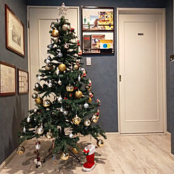 玄関/入り口/IKEA/クリスマスツリーのインテリア実例 - 2020-12-11 10:31:36