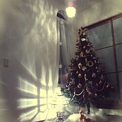 玄関/入り口/クリスマスツリー/影のインテリア実例 - 2013-11-16 21:50:30