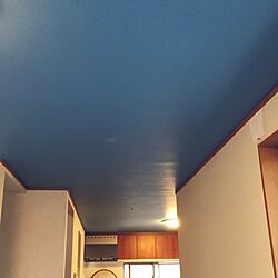 壁/天井のインテリア実例 - 2016-04-18 14:52:11