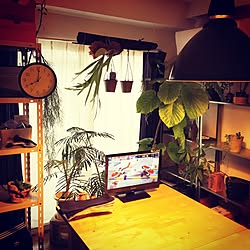 部屋全体/観葉植物/DIY/IKEAのインテリア実例 - 2016-09-18 08:19:50