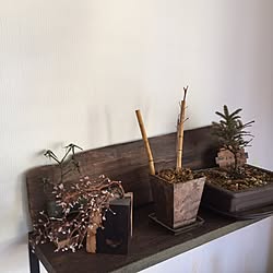 棚/ハンドメイド/100均/DIY/多肉植物...などのインテリア実例 - 2016-05-14 06:35:39