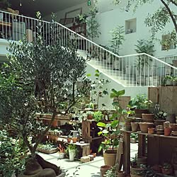 ベッド周り/Garage/植物のインテリア実例 - 2015-05-27 16:25:43