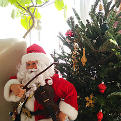 リビング/クリスマスツリー/もみの木/本物の木/IKEA...などのインテリア実例 - 2018-12-15 18:55:09