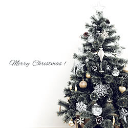 メリークリスマス/クリスマスツリー/ホワイトインテリア/シンプルにしたい/リビングのインテリア実例 - 2019-12-25 21:43:55