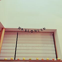 観賞用かぼちゃ/シンプルイズベスト/ハロウィン/リビングのインテリア実例 - 2016-10-23 08:52:58