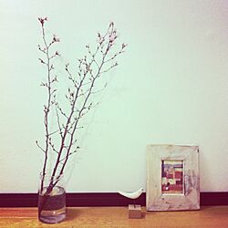 リビング/お花のインテリア実例 - 2013-02-10 20:28:14